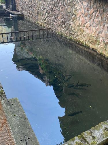 Gambar di galeri bagi Etno House Stari mlin di Konjic