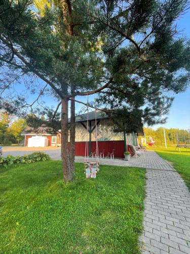 Zahrada ubytování Vila RUNA