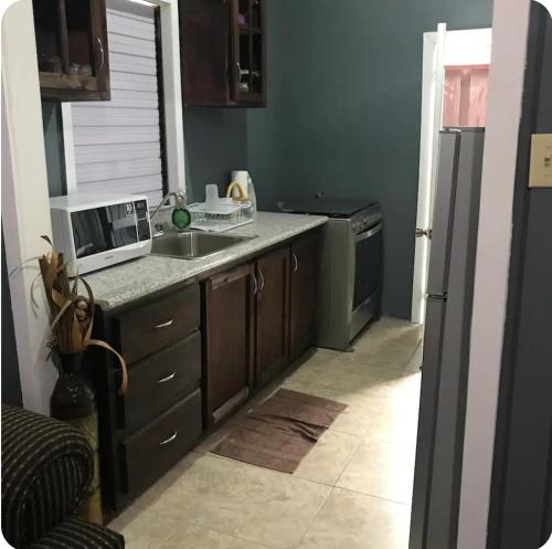 eine Küche mit Spüle und Mikrowelle in der Unterkunft The Grayden Cottage in Kingston