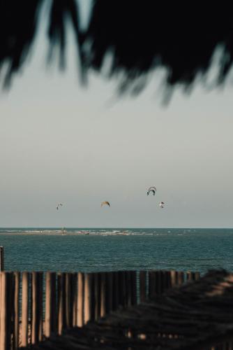 a group of birds flying over a body of water at Jaguaríndia Village in Fortim