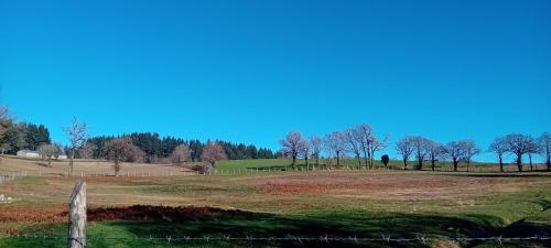 a field with a fence and trees in the background at Chambres et table d'hôte Rabillou in Saint-Moreil