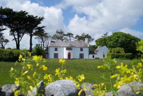 an old white house in a field with yellow flowers at Mount Vernon, Flaggy Shore, County Clare in Burren