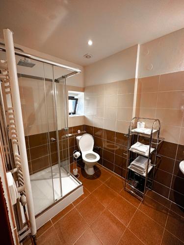 TelniceにあるStará poštaのトイレとガラスのシャワー付きのバスルーム