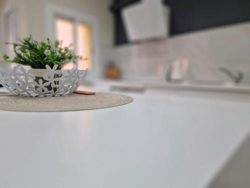 ロスピタレート・デ・リョブレガートにあるBarcelona 2 Habitacionesの台所のカウンター鉢植え