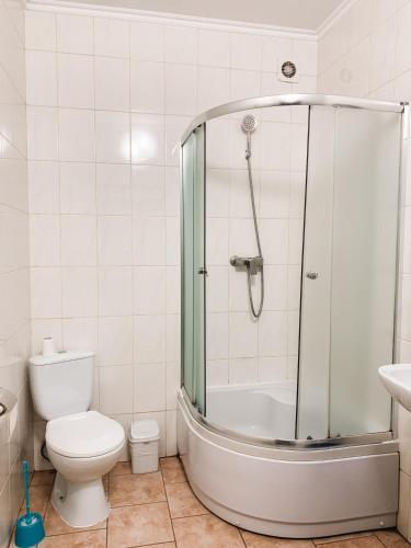a bathroom with a shower and a toilet and a sink at Apartments Domovik Мостова 5 кв 38 in Mukacheve