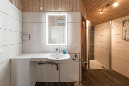 a bathroom with a sink and a shower at Seeschwalbe 54 in Rechlin