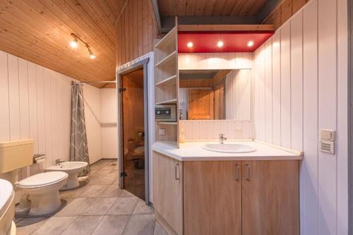ein Badezimmer mit Waschbecken und Toilette in der Unterkunft Seeschwalbe Classic 41 in Rechlin