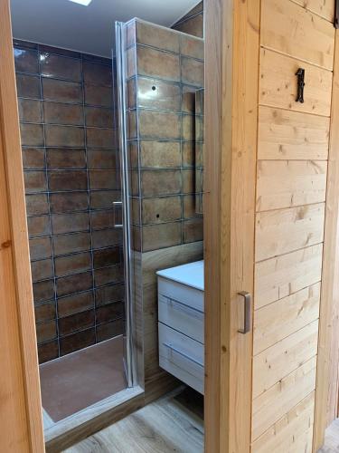 La petite salle de bains est pourvue d'une douche et d'un lavabo. dans l'établissement Cabane Oléron Piscine 5 Chambres, à Saint-Trojan-les-Bains