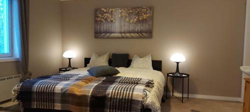 a bedroom with a bed with two lamps on it at The Cloudberry Hostel in Näsåker