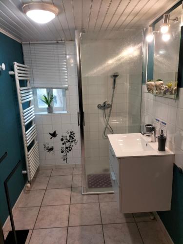 une salle de bain avec douche et lavabo dans l'établissement Gîte Des Sapins, à Ranchal