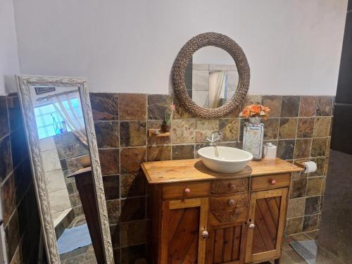 a bathroom with a sink and a mirror at Schweizer Guesthouse in Schweizer-Reineke