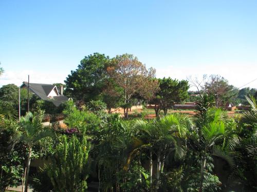 a view of a yard with trees and a house at Avamada Lodge in Ivato