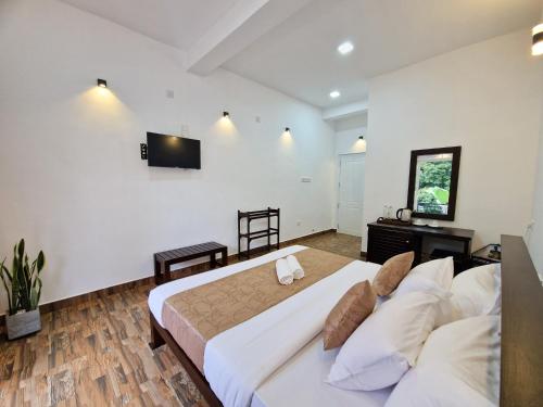 a bedroom with a large bed and a tv on the wall at Villa Sole in Kandy