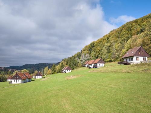 a group of houses in a field with a mountain at Holiday Home Stárkov by Interhome in Stárkov