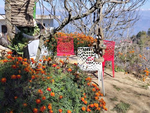 Φωτογραφία από το άλμπουμ του The Maiden's Blush σε Chachyot