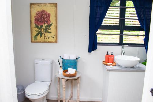 a bathroom with a toilet and a sink and a window at The Forest Dome Tsitsikamma in Stormsriviermond