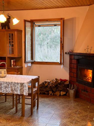 a living room with a table and a fireplace at Casa Angiolino, angolo di pace vicino all'Orrido di Gea in Villa dʼAiano