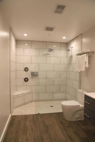 ワトキンズ・グレンにあるThe Benjamin Hotelのトイレとシャワー付きの白いバスルーム