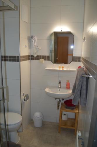 a bathroom with a sink and a toilet and a mirror at Pension Tiffany in Chemnitz