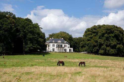 two horses grazing in a field in front of a house at Wellnessresort & Hotel De Valkenberg in Rheden