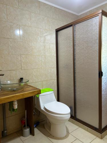 een badkamer met toilet en glazen douche bij Casa nueva en recinto privado in Licán Ray