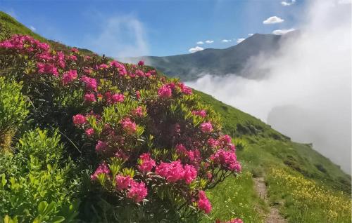 別荘の近くで見られる自然の景観