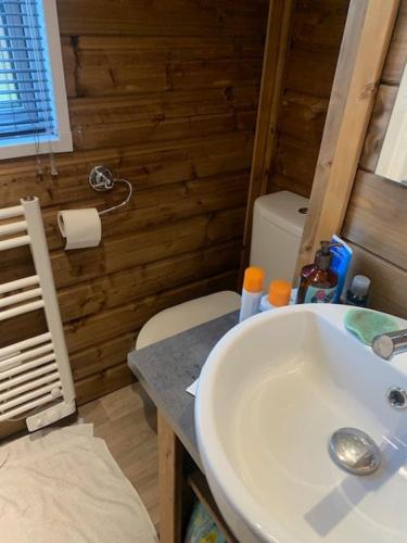 une salle de bain avec un lavabo et des toilettes dans l'établissement Confortable mobile home G15, à Gujan-Mestras