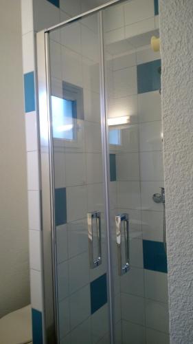 a bathroom with a shower with blue and white tiles at Les Clés Nature in Moutiers-sous-Chantemerle