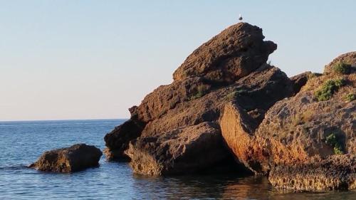 a rock formation in the water with a bird on it at Paradise in Áyios Andhréas