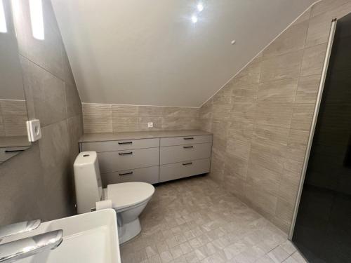 a bathroom with a toilet and a sink at B2 Lakeside Suite Polku Hotel in Vihti