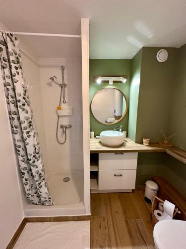 une salle de bain avec un lavabo, une douche et un miroir dans l'établissement Le Greenhouse Studio Libourne, à Libourne