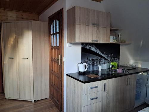 ゾンプにある"U Krzysiaka" Apartament typu Studioのキッチン(木製キャビネット、黒いカウンタートップ付)