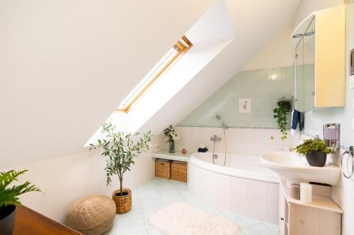 Fotografie z fotogalerie ubytování Spacious Budweis Nature Apartment v Českých Budějovicích