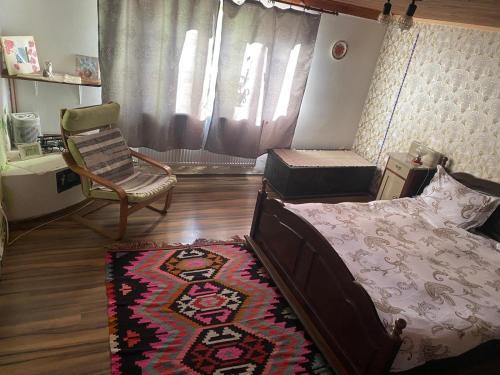a bedroom with a bed and a chair and a rug at Viscri 143 in Viscri