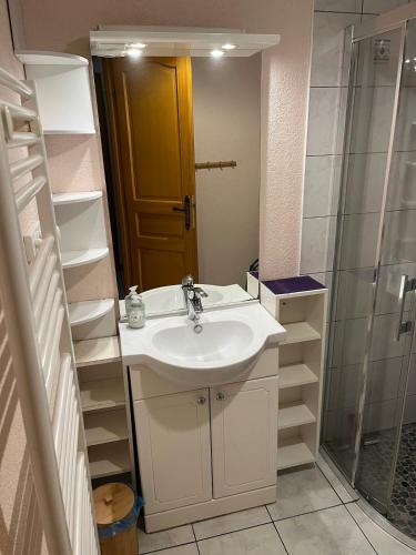 une salle de bain avec un lavabo et une douche dans l'établissement Gîte La Bresse 7 personnes, à La Bresse