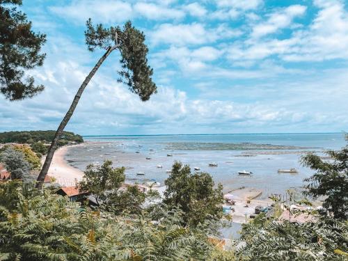 a view of a beach with boats in the water at La perle du Bassin - Plage Pereire - Arcachon in Arcachon