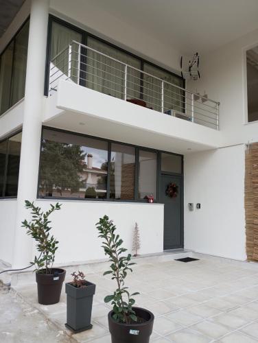 a white house with two potted plants in front of it at Cool Loft in Tríkala