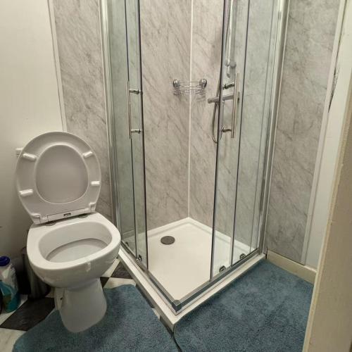 a bathroom with a toilet and a glass shower at 13 Summerhill South Cork Accommodation in Cork