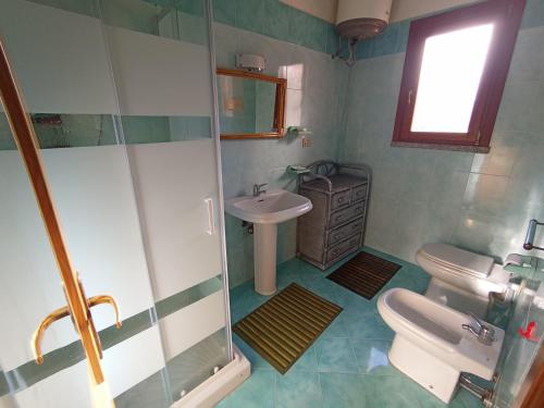 a bathroom with a shower and a toilet and a sink at Flamingo's House in Monte Petrosu