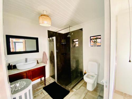 a bathroom with a shower and a sink and a toilet at Granny Reed's Cottage in Port Alfred