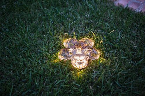 a toy turtle in the grass in the yard at Relais Metelli in Foligno