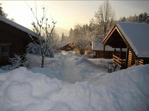 a yard covered in snow next to a cabin at Blockhaus Holzzeit im Bayerischen Wald in Stamsried