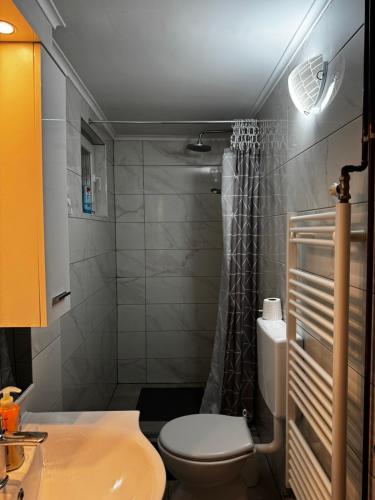 a small bathroom with a toilet and a shower at Apartman Ana in Bjelovar