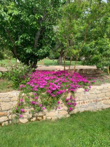 a stone wall with pink flowers in a garden at Terralha in Meynes