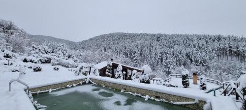 a snow covered yard with a pool of water at Панорама хаус Лещен и еко къщи Дървена и Землянка in Leshten