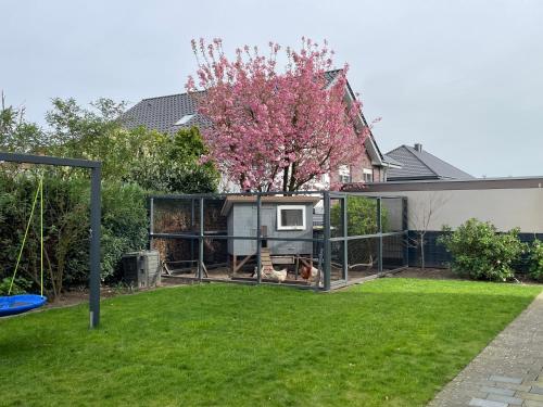 a chicken coop in a yard with a tree at Agethen Oase - Blauer Delfin in Rietberg