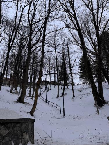 a snow covered park with trees and a fence at Residenza Fonticella in Rivisondoli