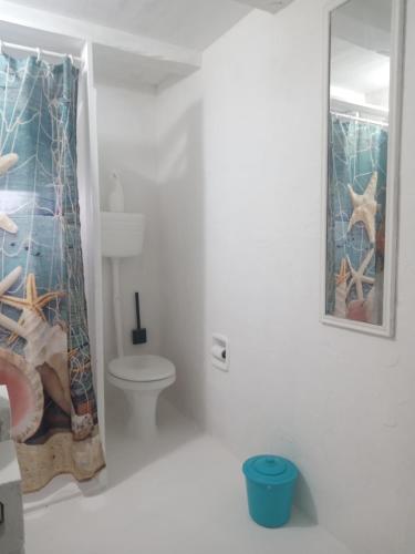 a bathroom with a toilet and a shower curtain at Hostel José Mendes in Florianópolis
