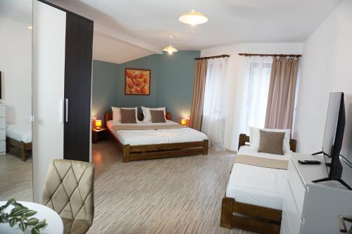 Una habitación de hotel con dos camas y un televisor. en Villa Hanna's Garden - Mintia, en Mintia