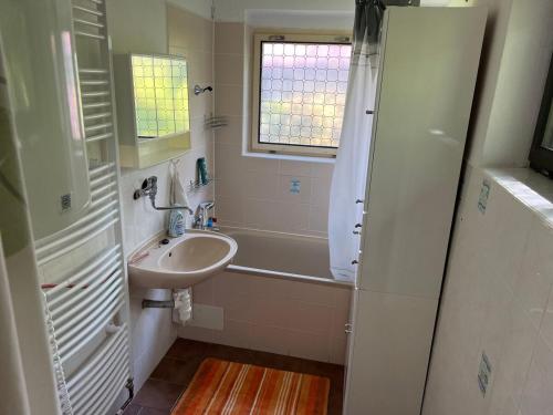 a small bathroom with a sink and a shower at Dům v přirodě in Vilice